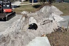 IMG_20260118_130359-scaled